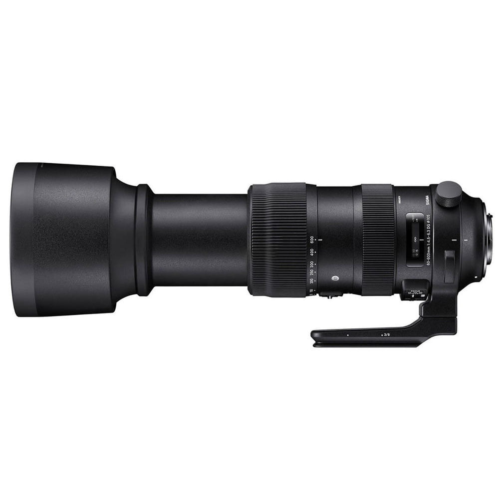 Sigma S 60-600 mm f/4.5-6.3 DG OS HSM (Nikon F)