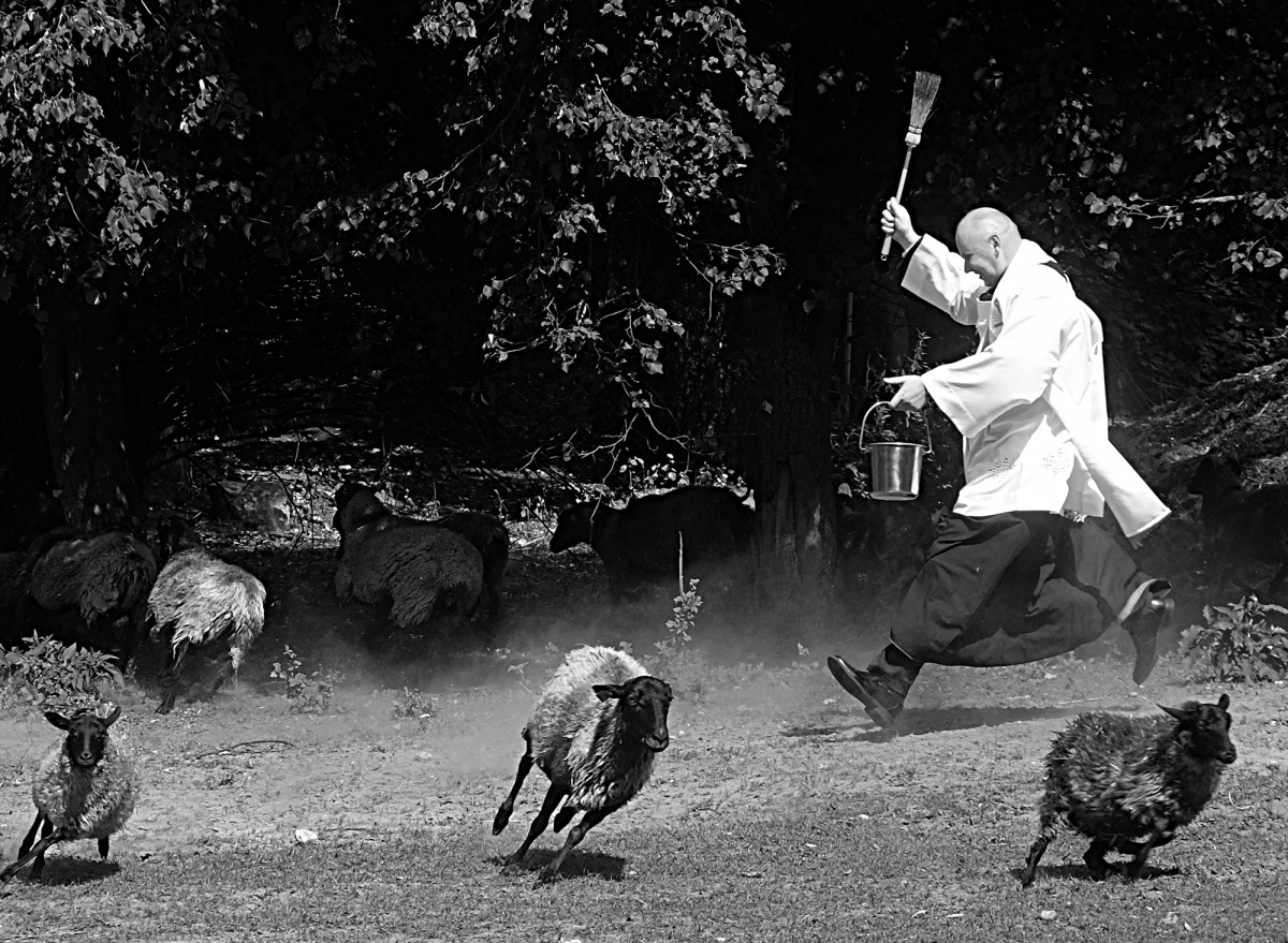 Fot. Przemysław Wierzchowski.