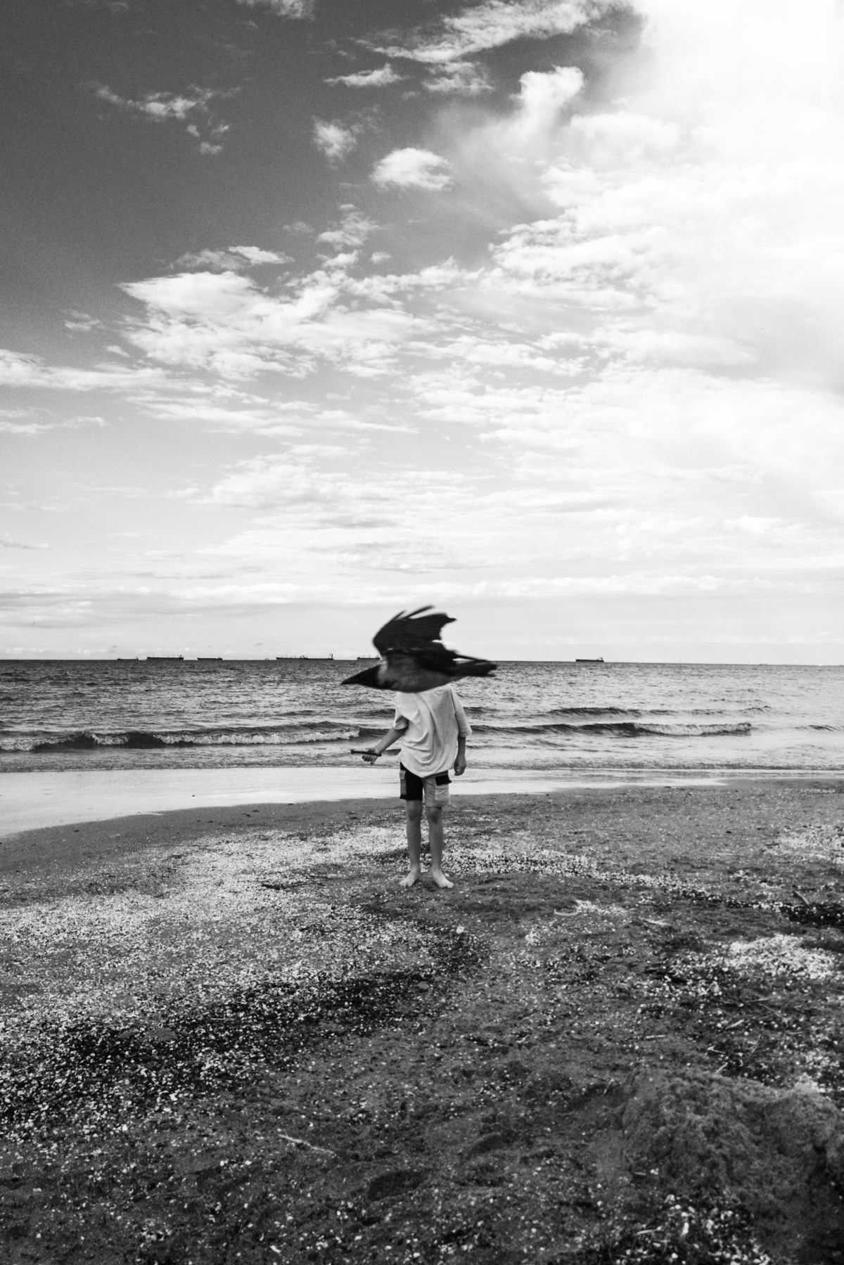 Fot. Bogumiła Hernacka.