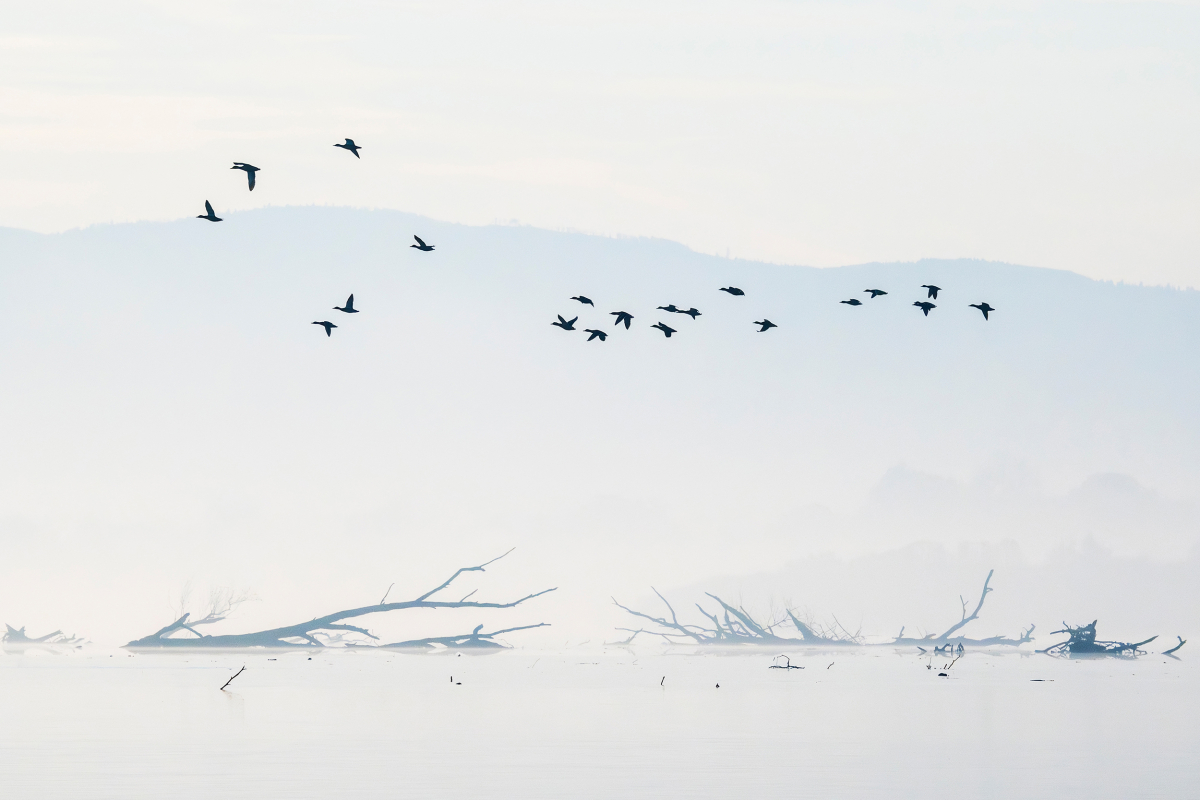 Fot. Piotr Pawelczyk