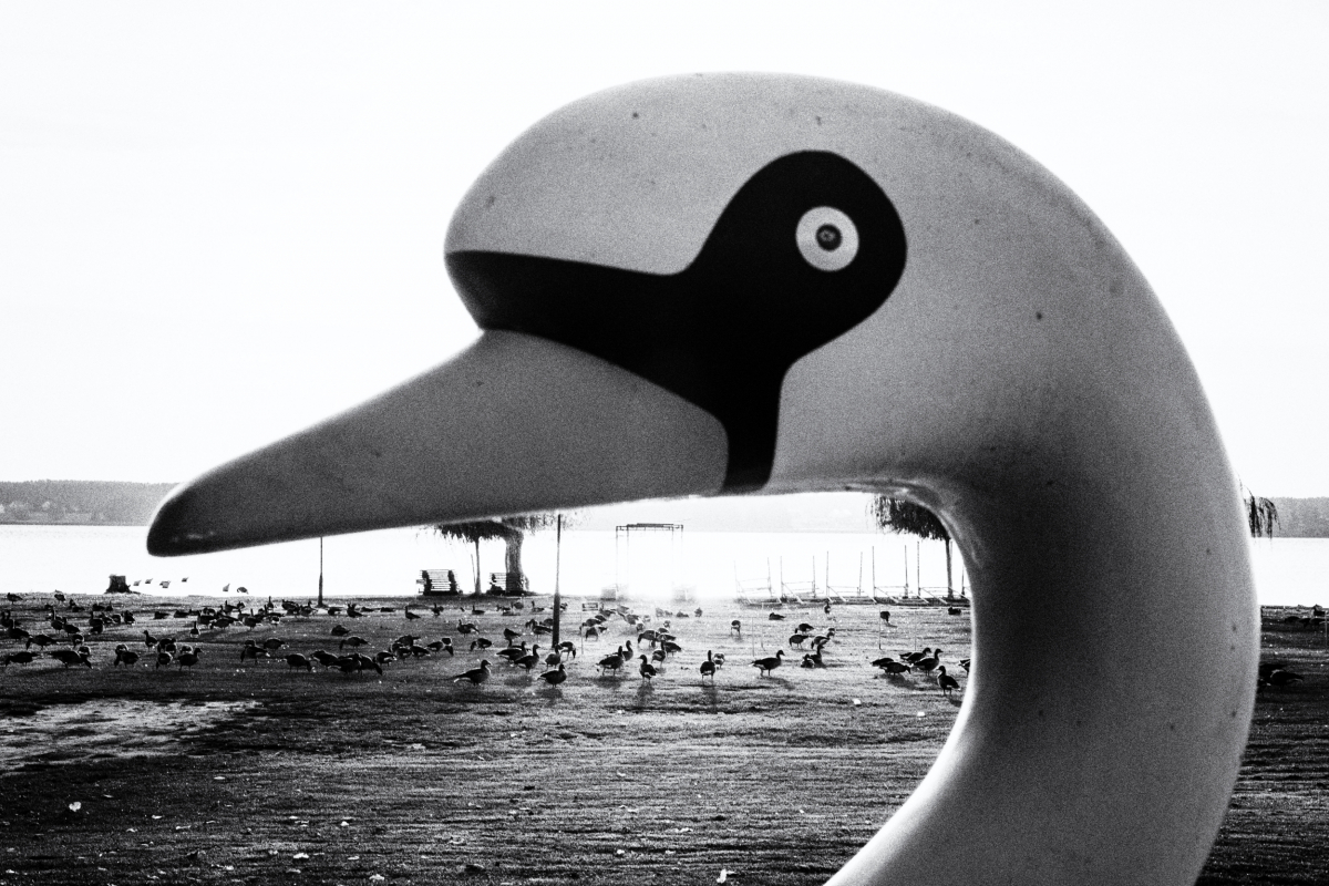 Fot. Ilona Idzikowska