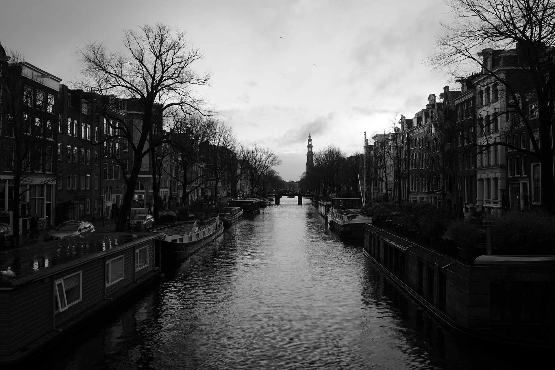 Ricoh GR IV, tryb B&W, fot. Krzysztof Basel.