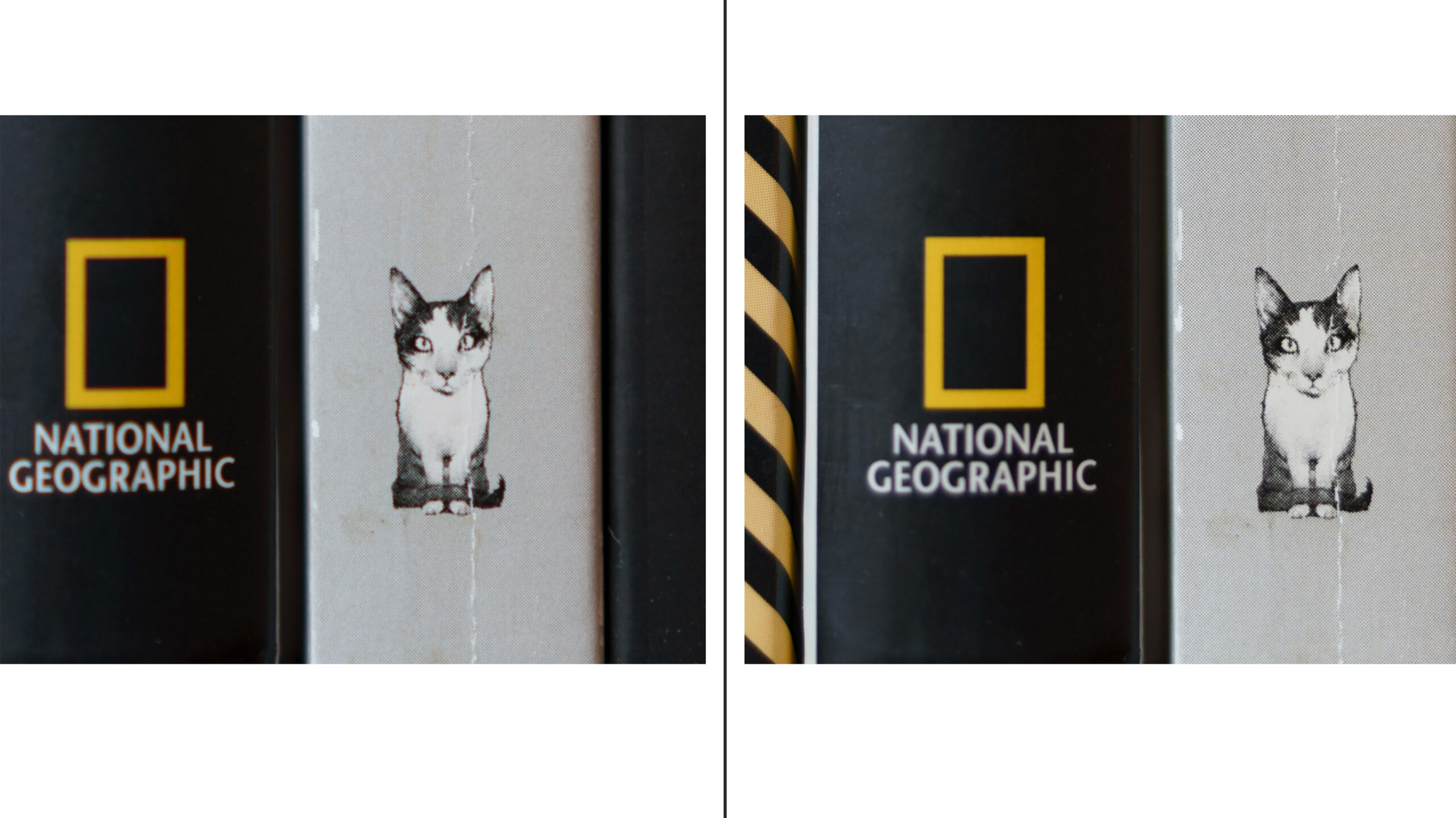 Po lewej: Sigma 35 mm f/1.4 Art I, po prawej: Sigma 35 mm f/1.4 Art II. Wycinek 100% pełnego kadru.