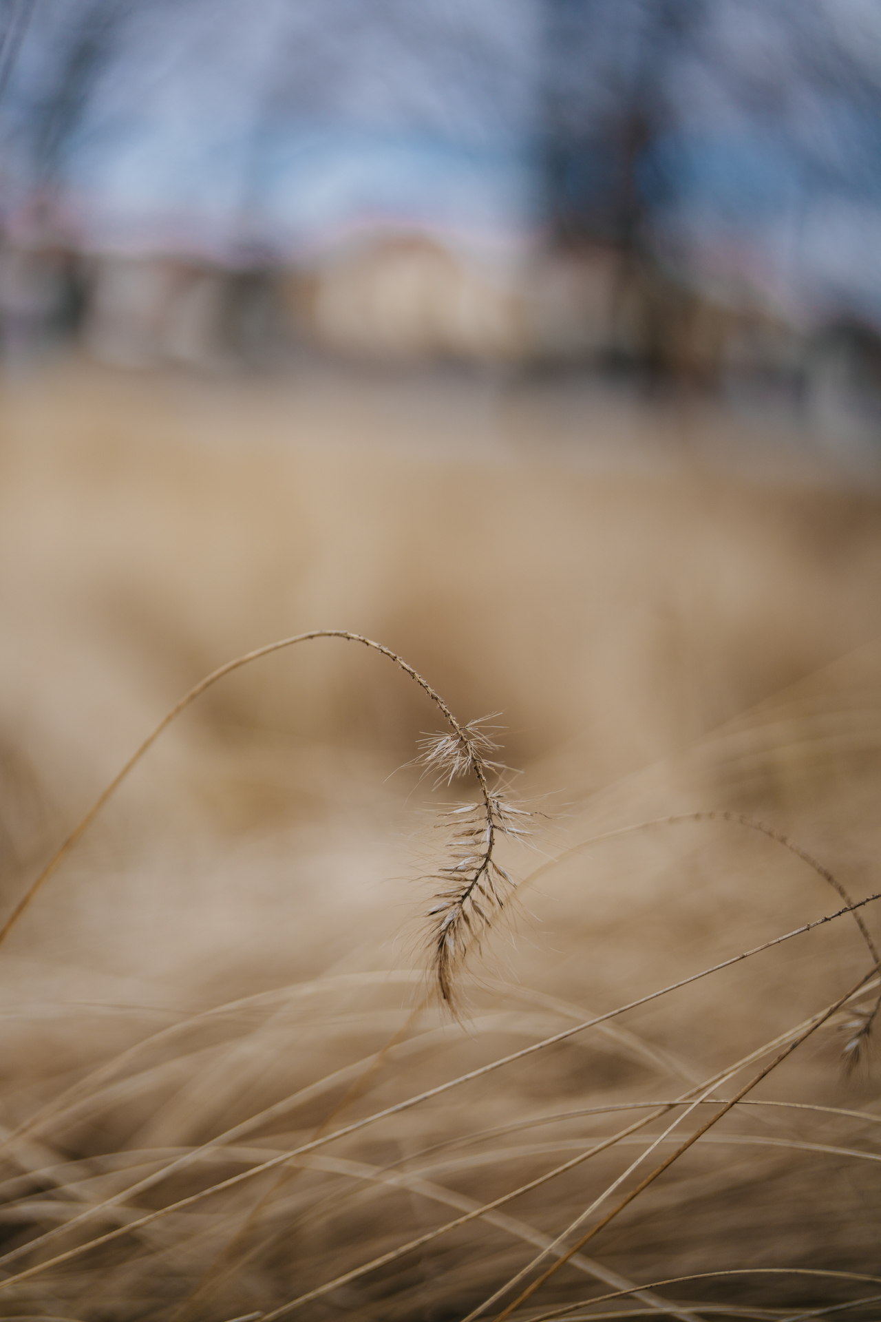 Sigma 35 mm f/1.4 DG II Art, fot. Krzysztof Basel. Zdjęcie obrobione.