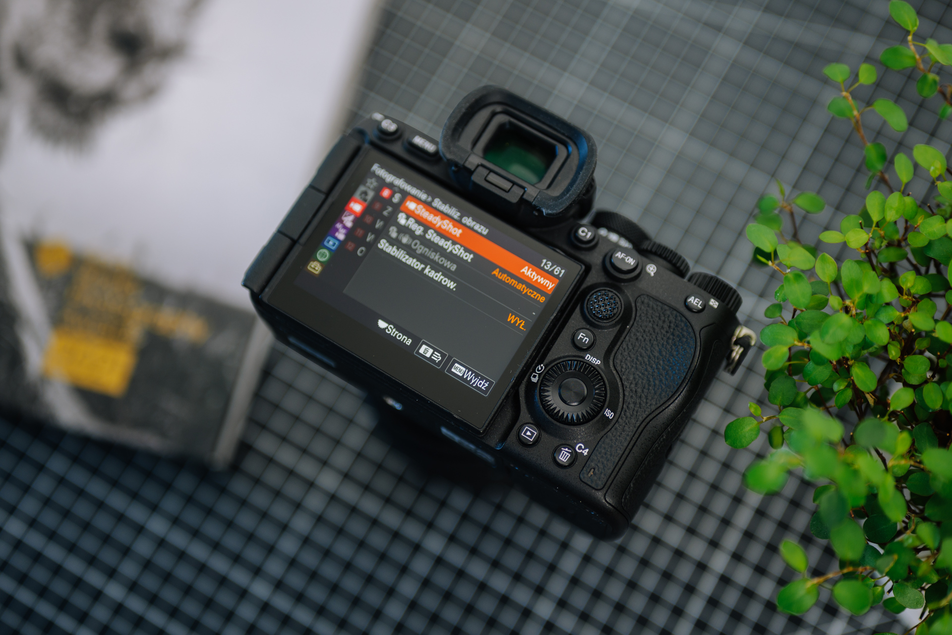 Wizjer w Sony A7R VI ma identyczną rozdzielczość, ale jest aż 3x jaśniejszy. Fot. Krzysztof Basel.
