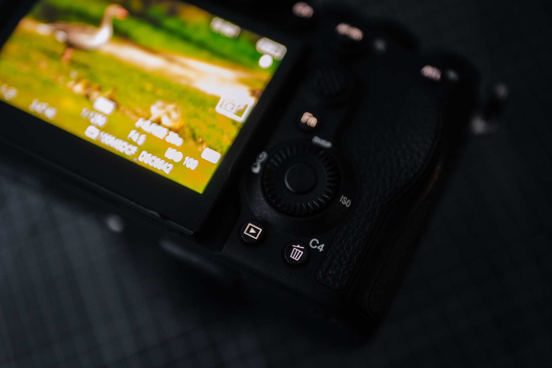 Sony A7R VI oferuje możliwość podświetlania przycisków. Fot. KB.