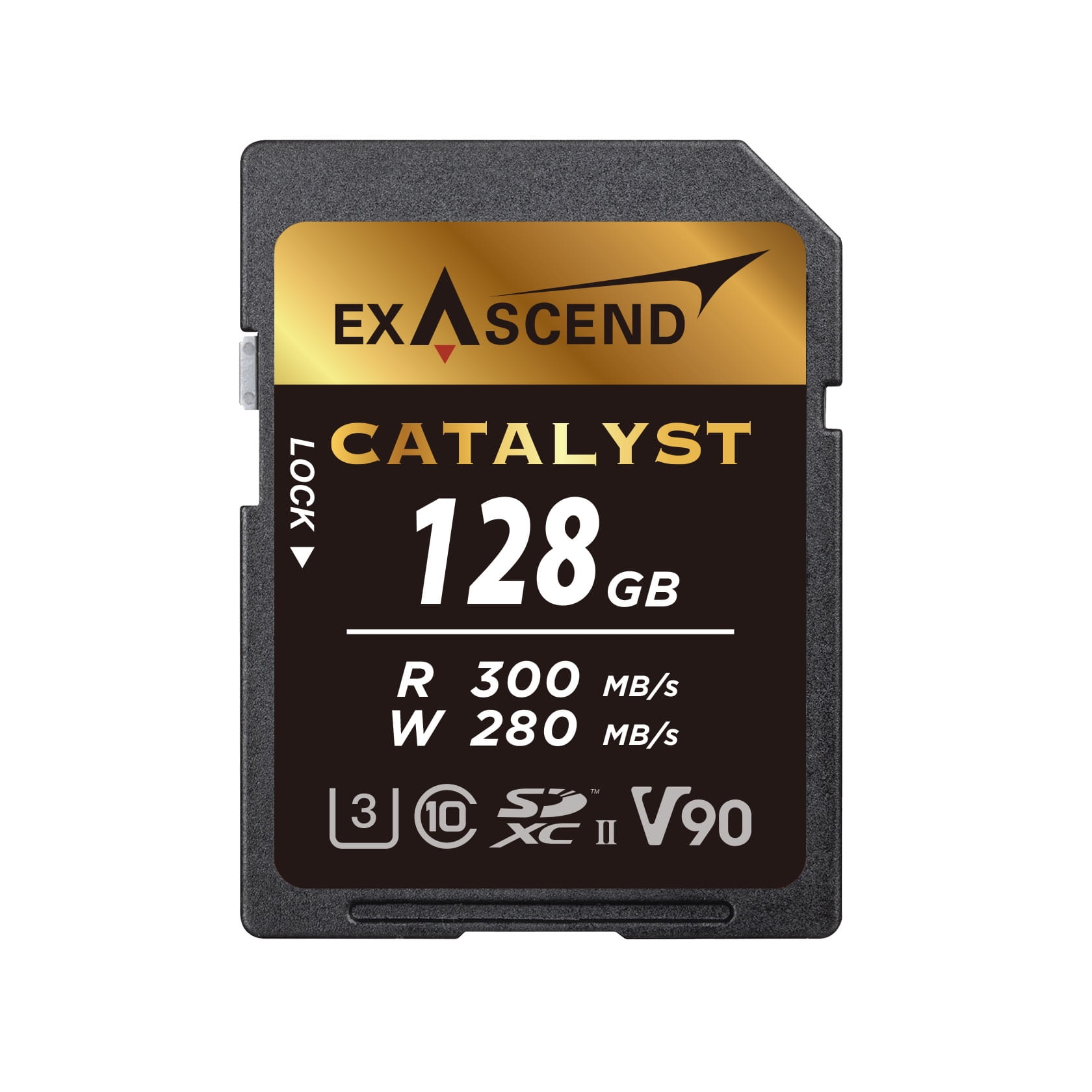 Karty SD Exascend Catalyst