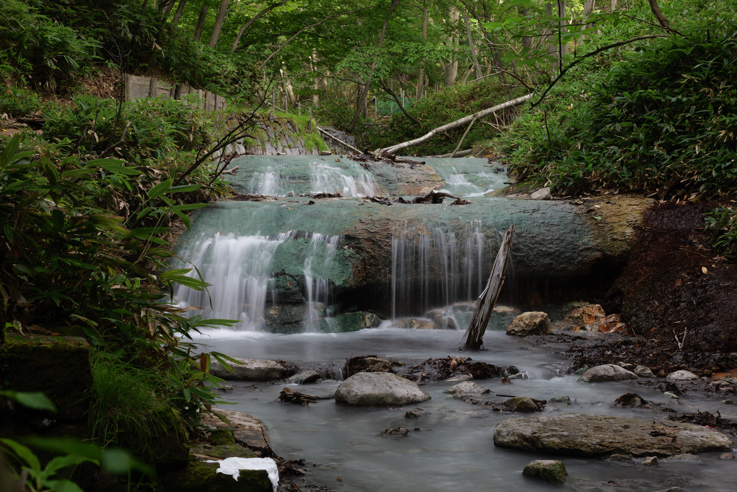 Sigma 20-200mm F3.5-6.3 DG + Lumix S9. Japonia, Hokkaido, sierpień 2025 r. Fot. Krzysztof Basel.
