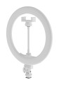 Lampa pierėcieniowa LED Newell RL-10A Arctic White + statyw_04_HD.jpg
