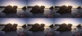 1060w-133524501_3370527813059209_3127907002756226020_n (1).jpg