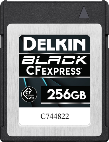 karta-pamieci-delkin-cfexpress-black-r1645:w1400-256gb_01.png