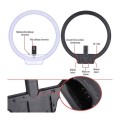 Lampa LED Yongnuo YN-608 5500K_5 (1).jpg