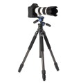 statyw-benro-induro-new-classic-cf203_03.jpg