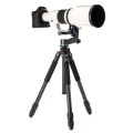statyw-benro-induro-new-classic-cf303_04.jpg