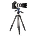 statyw-benro-induro-new-classic-cf206_04.jpg