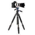 statyw-benro-induro-new-classic-cf204_04.jpg