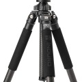 statyw-benro-induro-new-classic-cf204_07.jpg