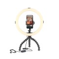 Lampka Joby Beamo Ring Light 12_5 (1).jpg