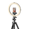 Lampka Joby Beamo Ring Light 12_8 (1).jpg