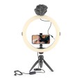 Lampka Joby Beamo Ring Light 12_9 (1).jpg