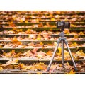 Statyw Fotopro S3 Lite - czerwono-szary_10 (1).jpg