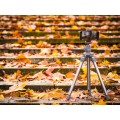 Statyw Fotopro S3 Lite - zielono-szary_10 (1).jpg