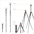 Karbonowy statyw fotograficzny 165cm K&F Concept SA254C1 z głowicą kulową_2 (1).jpg