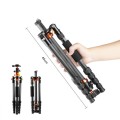 Karbonowy statyw fotograficzny 140cm K&F Concept SA225C1 z głowicą kulową i funkcją monopodu_5 (1).jpg