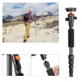 Karbonowy statyw fotograficzny 140cm K&F Concept SA225C1 z głowicą kulową i funkcją monopodu_8 (1).jpg