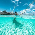 Obudowa DOME do GoPro Hero 9 Black PolarPro FiftyFifty H9_8.jpg