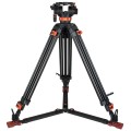 Coman DF26(Q7Plus) Statyw video