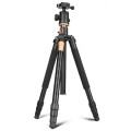 Statyw fotograficzny 156 cm z łamaną kolumną, głowicą kulową i funkcją monopodu CAME-TV Q156_2.jpg