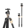 Statyw fotograficzny 156 cm z łamaną kolumną, głowicą kulową i funkcją monopodu CAME-TV Q156_6.jpg