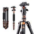 Karbonowy statyw fotograficzny 153cm z głowicą kulową i funkcją monopodu K&F Concept BA225_1.jpg