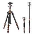 Karbonowy statyw fotograficzny 153cm z głowicą kulową i funkcją monopodu K&F Concept BA225_2.jpg