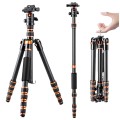 Karbonowy statyw fotograficzny 153cm z głowicą kulową i funkcją monopodu K&F Concept BA225_3.jpg