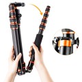 Karbonowy statyw fotograficzny 153cm z głowicą kulową i funkcją monopodu K&F Concept BA225_4.jpg