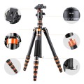 Karbonowy statyw fotograficzny 153cm z głowicą kulową i funkcją monopodu K&F Concept BA225_5.jpg