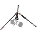 Karbonowy statyw fotograficzny 153cm z głowicą kulową i funkcją monopodu K&F Concept BA225_6.jpg