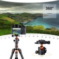 Karbonowy statyw fotograficzny 153cm z głowicą kulową i funkcją monopodu K&F Concept BA225_8.jpg