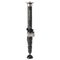 Monopod Benro SUPADUPA MSD36C_1.jpg