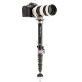 Monopod Benro SUPADUPA MSD36C_2.jpg