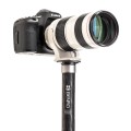 Monopod Benro SUPADUPA MSD36C_3.jpg