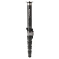 Monopod Benro SUPADUPA MSD46C_1.jpg