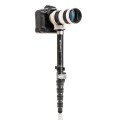 Monopod Benro SUPADUPA MSD46C_2.jpg
