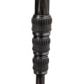 Monopod Benro SUPADUPA MSD46C_3.jpg