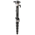 Monopod + głowica Benro SUPADUPA PRO MSDPL46C_1.jpg