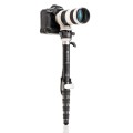 Monopod + głowica Benro SUPADUPA PRO MSDPL46C_2.jpg