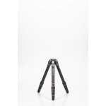Statyw Benro Tortoise 35C