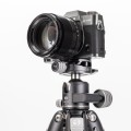 Głowica Benro GX30+PU56_2.jpg